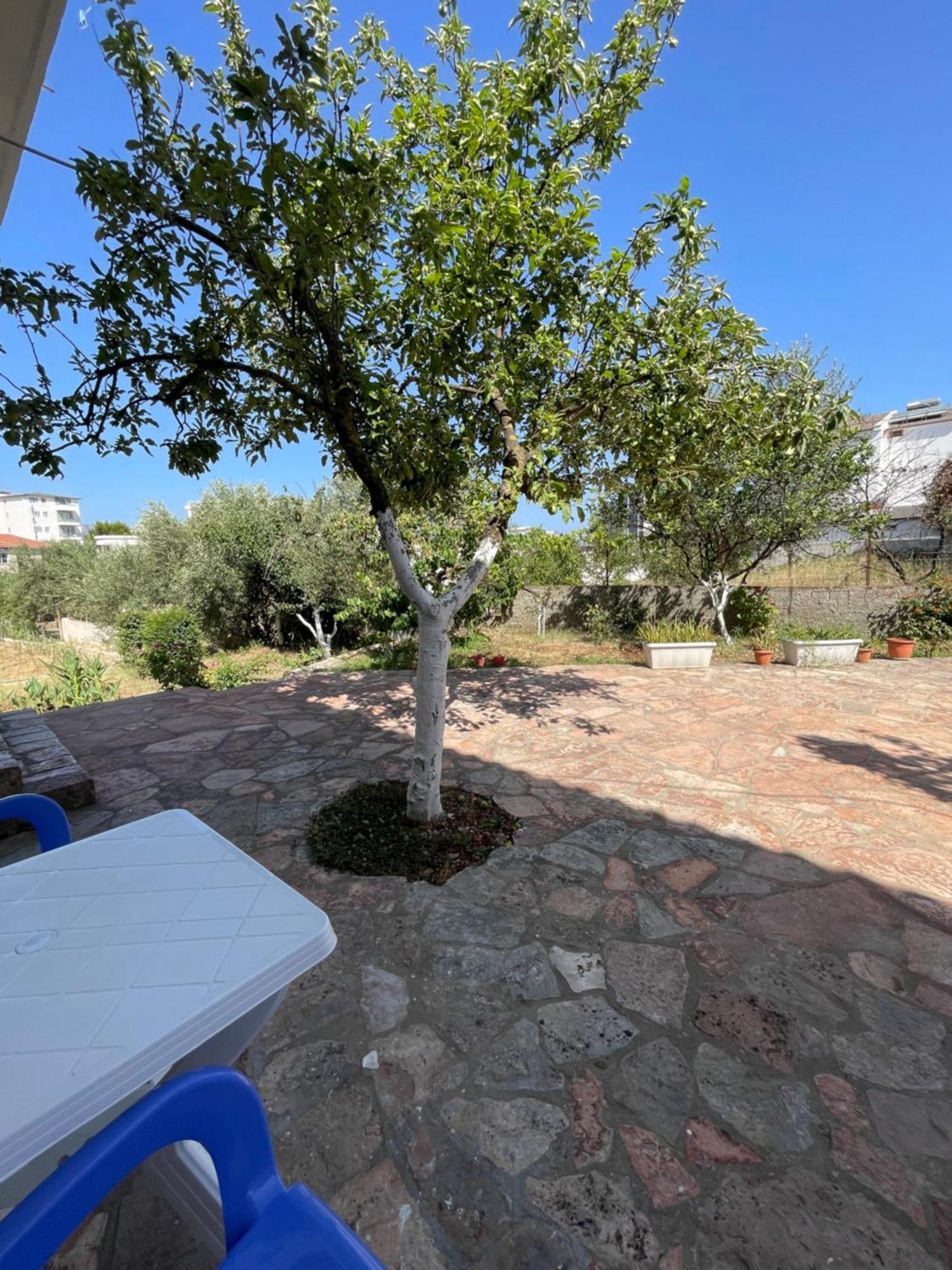 Guesthouse Dollomaja Ksamil Dış mekan fotoğraf